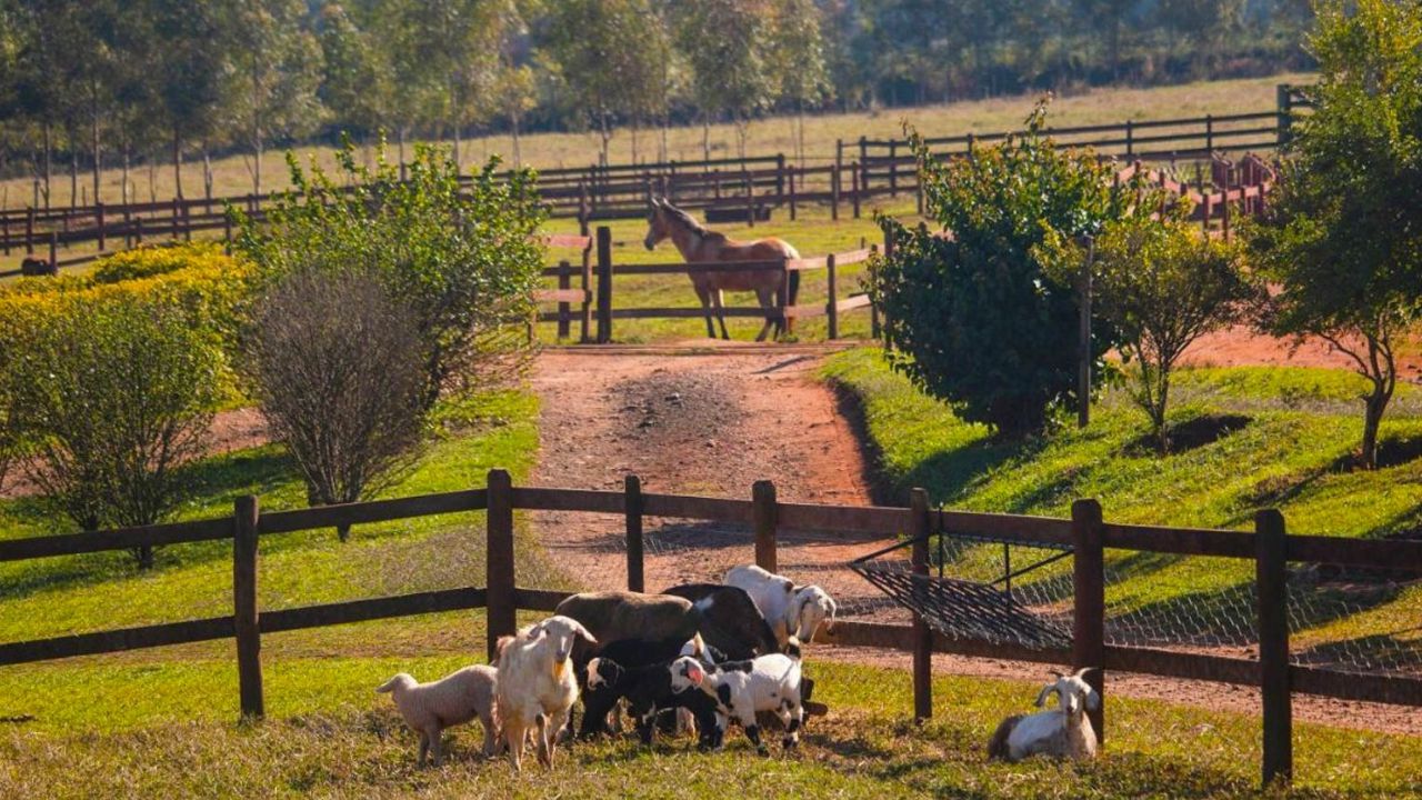 4 passos para transformar sua fazenda em sua empresa