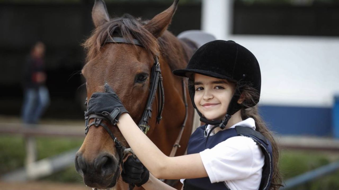 Acessórios essenciais para o Cavalo