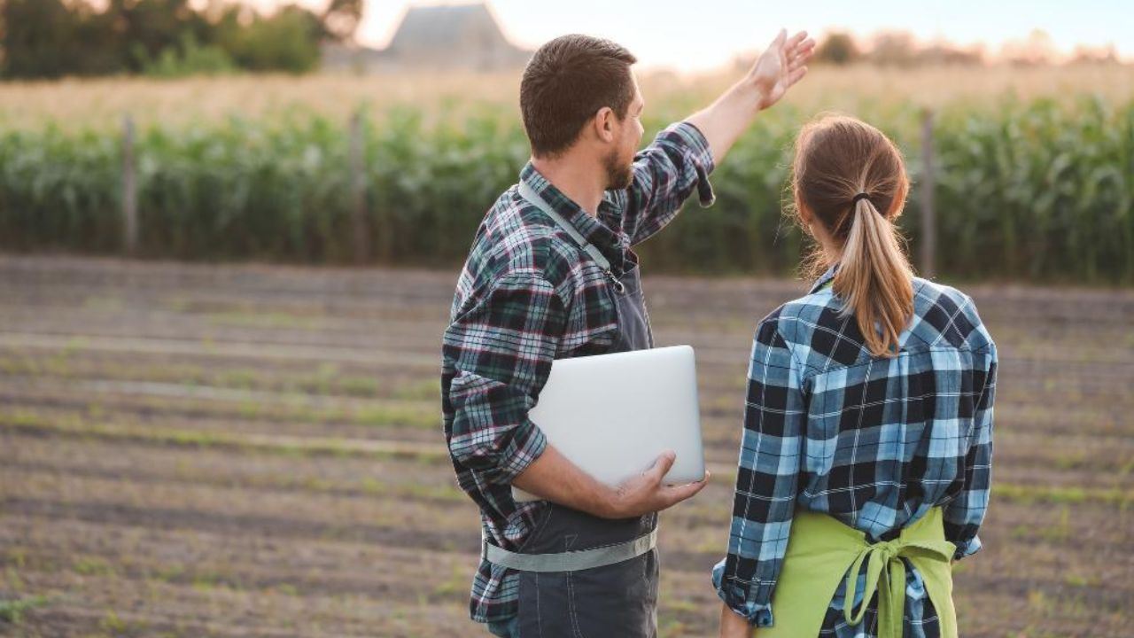 Carreiras para quem ama o agronegócio e a roça