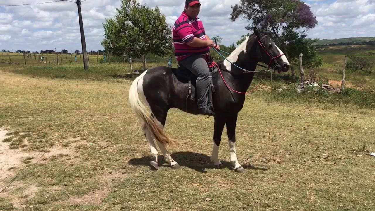 Maiores benefícios em andar a cavalo