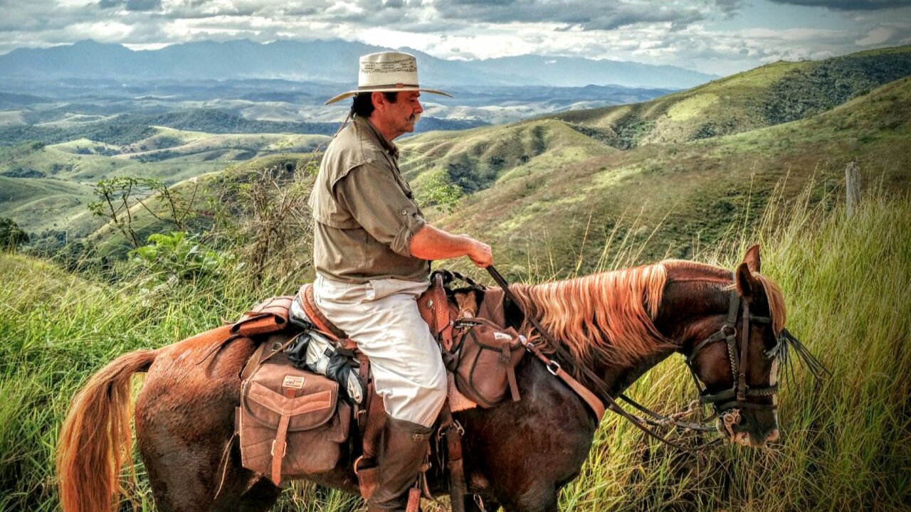 Motivos para ter um cavalo