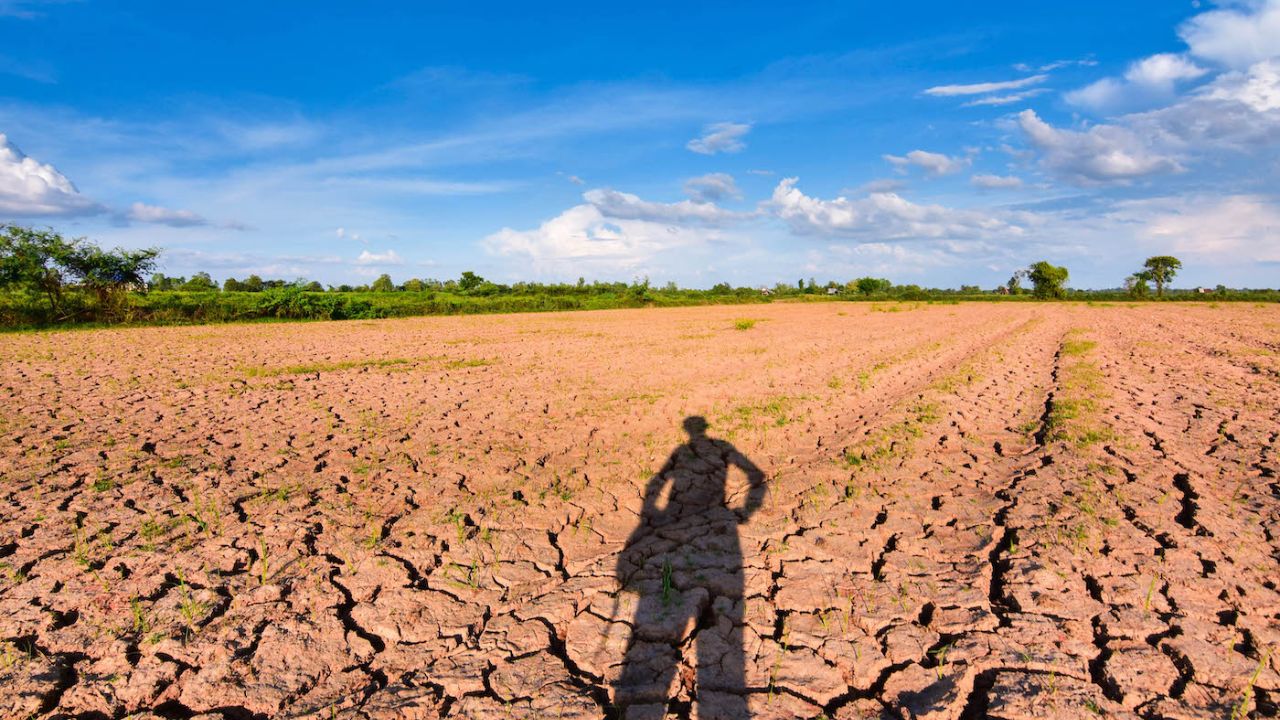 Agricultura Resiliente à Seca