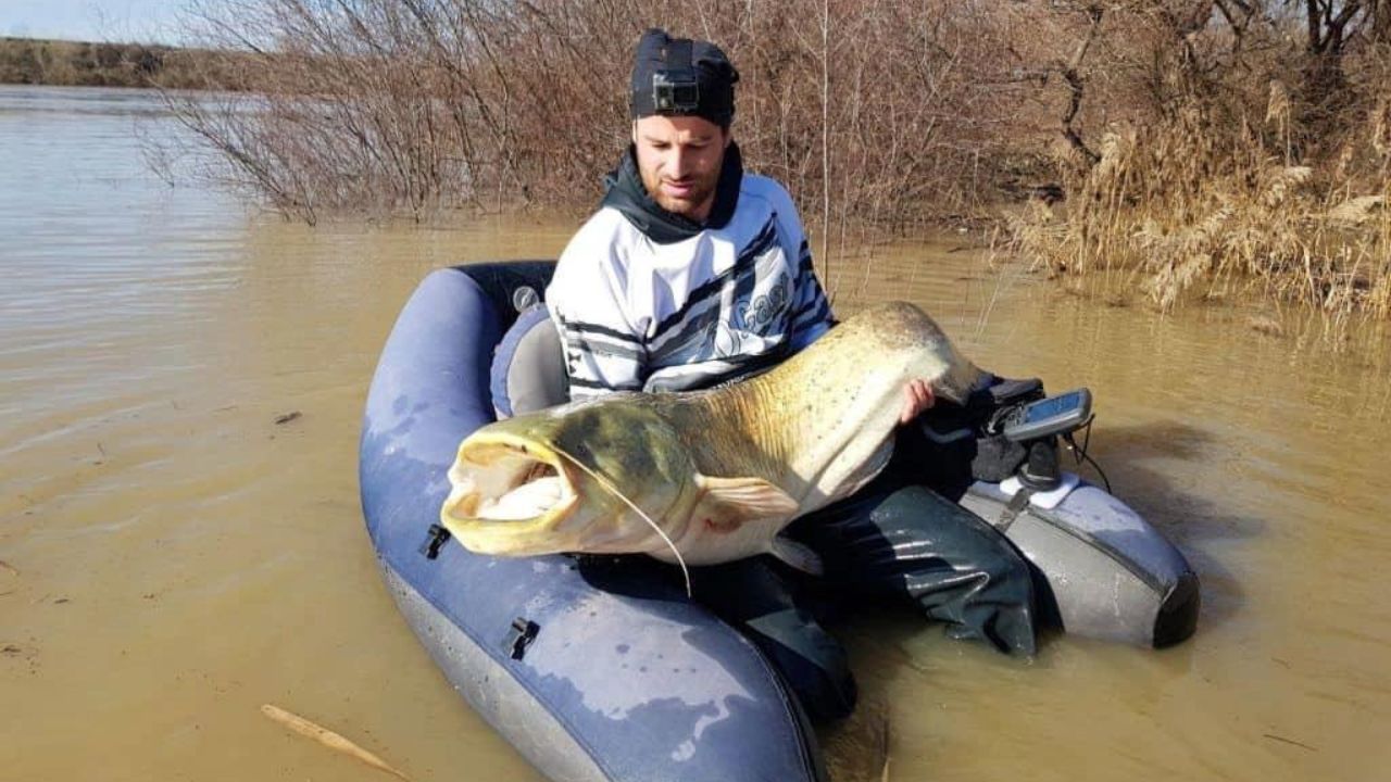 Benefícios da Pesca como Atividade de Lazer