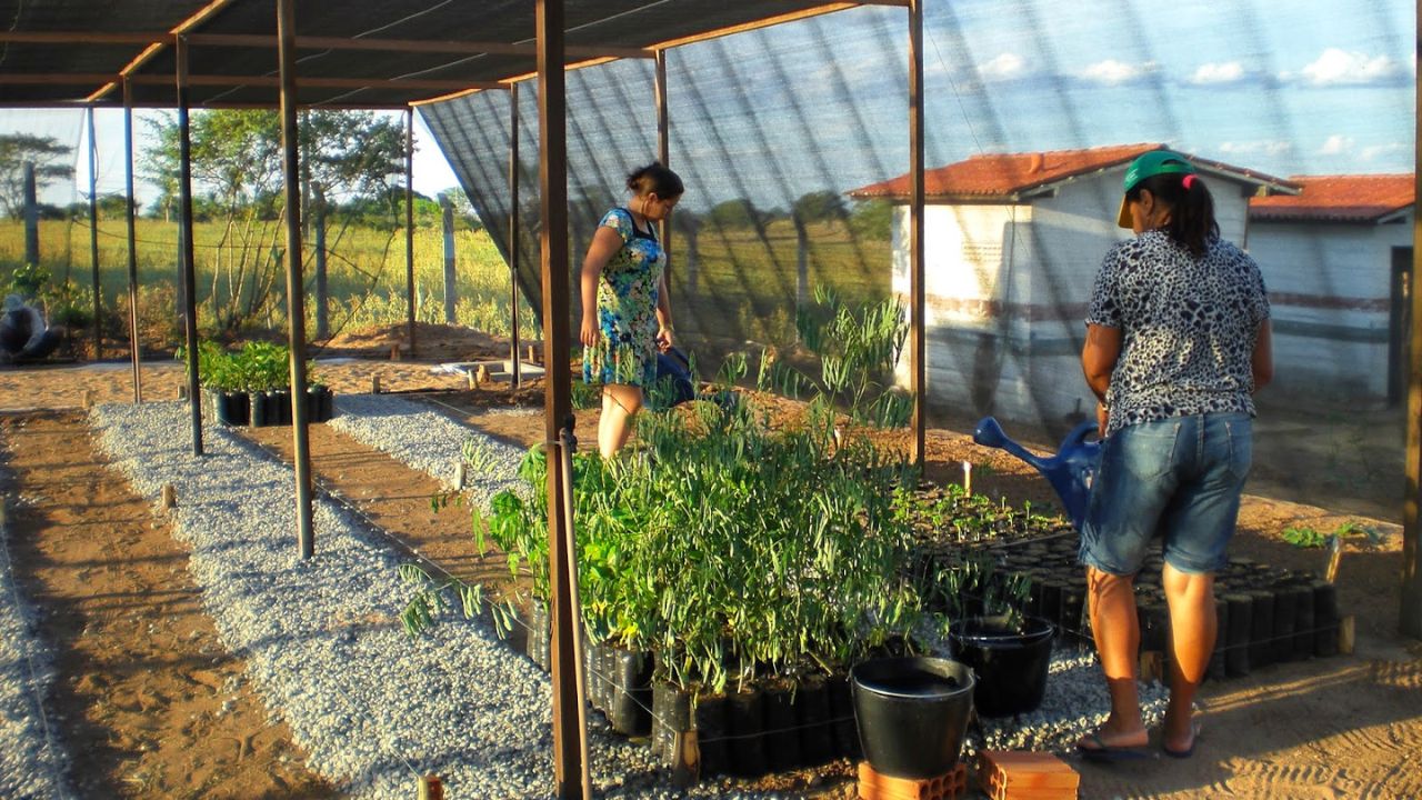 Benefícios do Uso de Tecnologias Sustentáveis na Roça