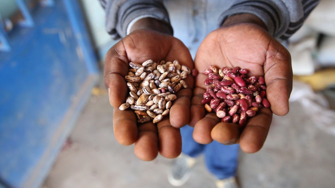 Maiores Exportadores Agro da América Latina