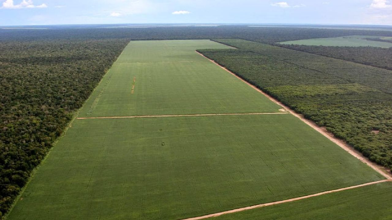 Maiores Exportadores Agro da América Latina