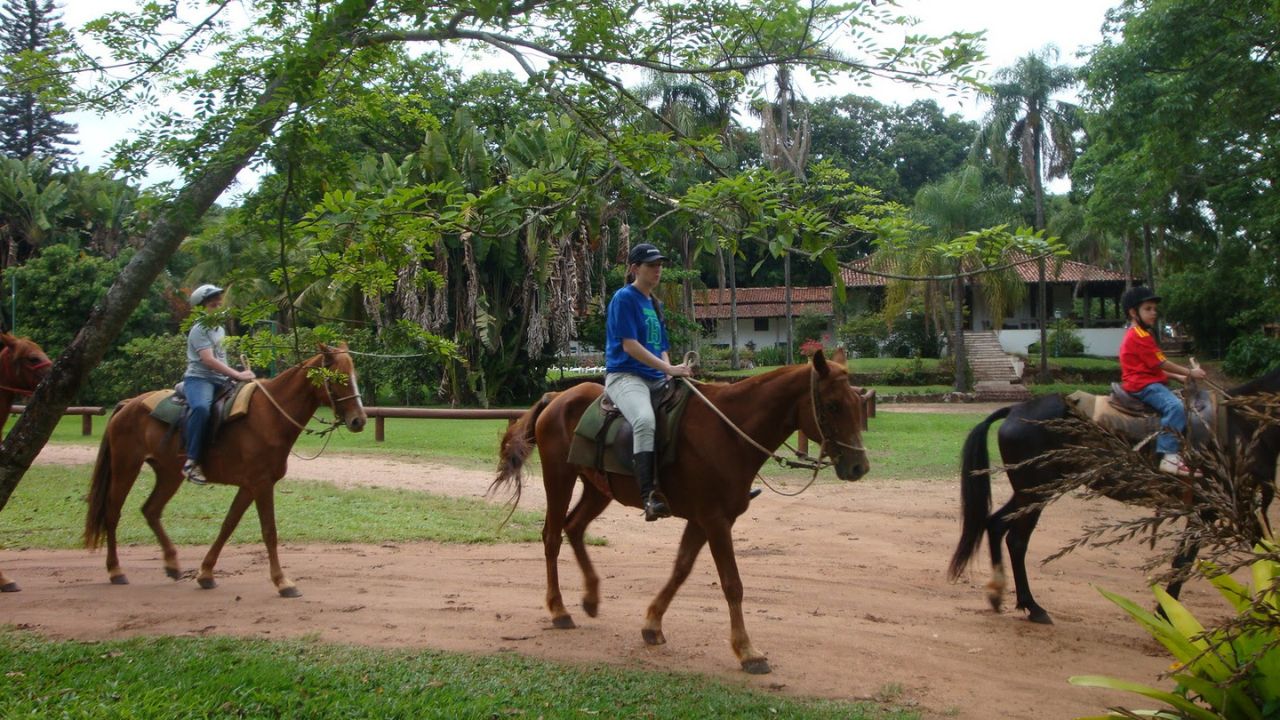 Primeiros Passos para Ter uma Fazenda