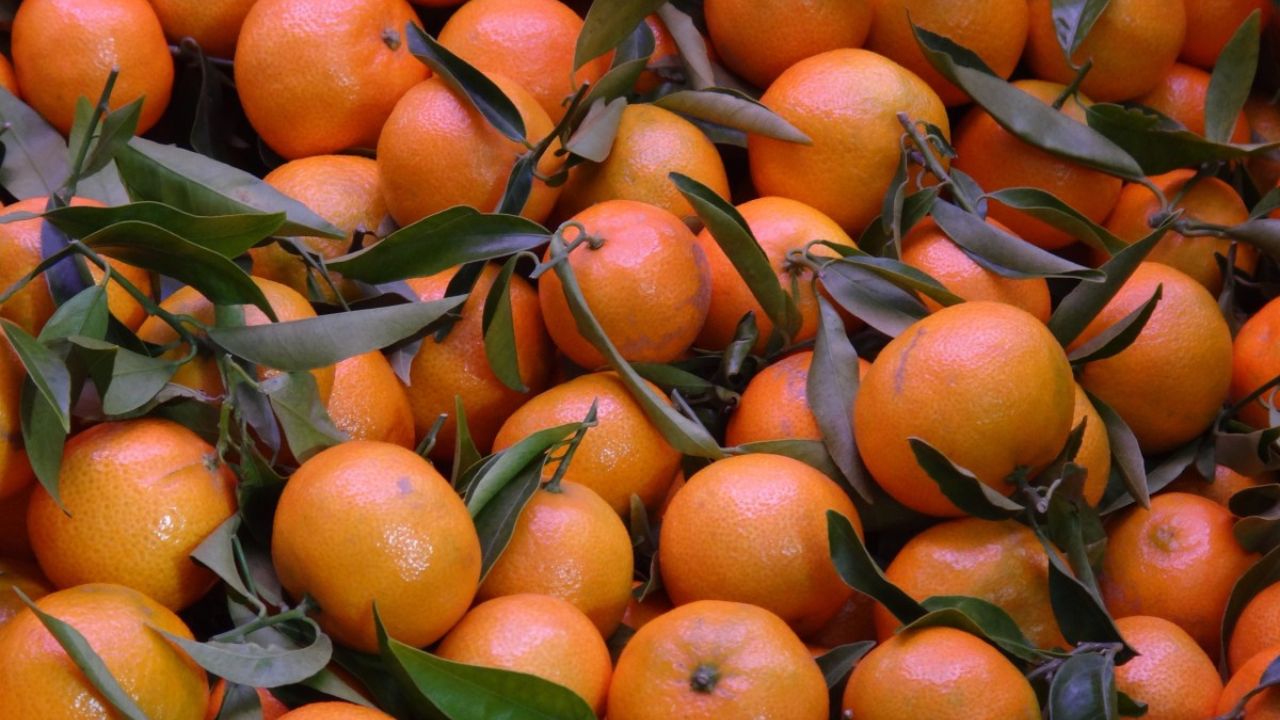 Vitamina C e os Benefícios para a Imunidade