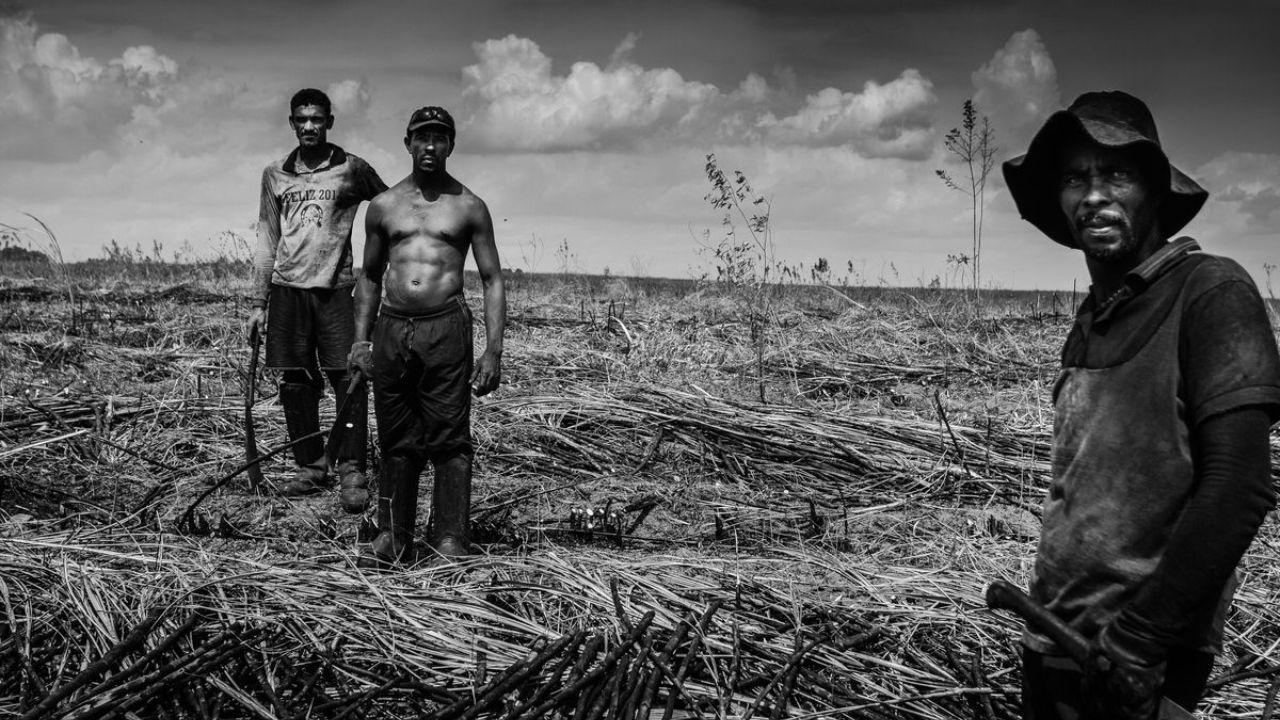 Quem foram os primeiros trabalhadores das fazendas