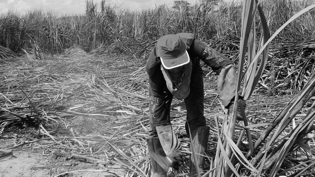 Quem foram os primeiros trabalhadores das fazendas